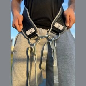 Regular Belts