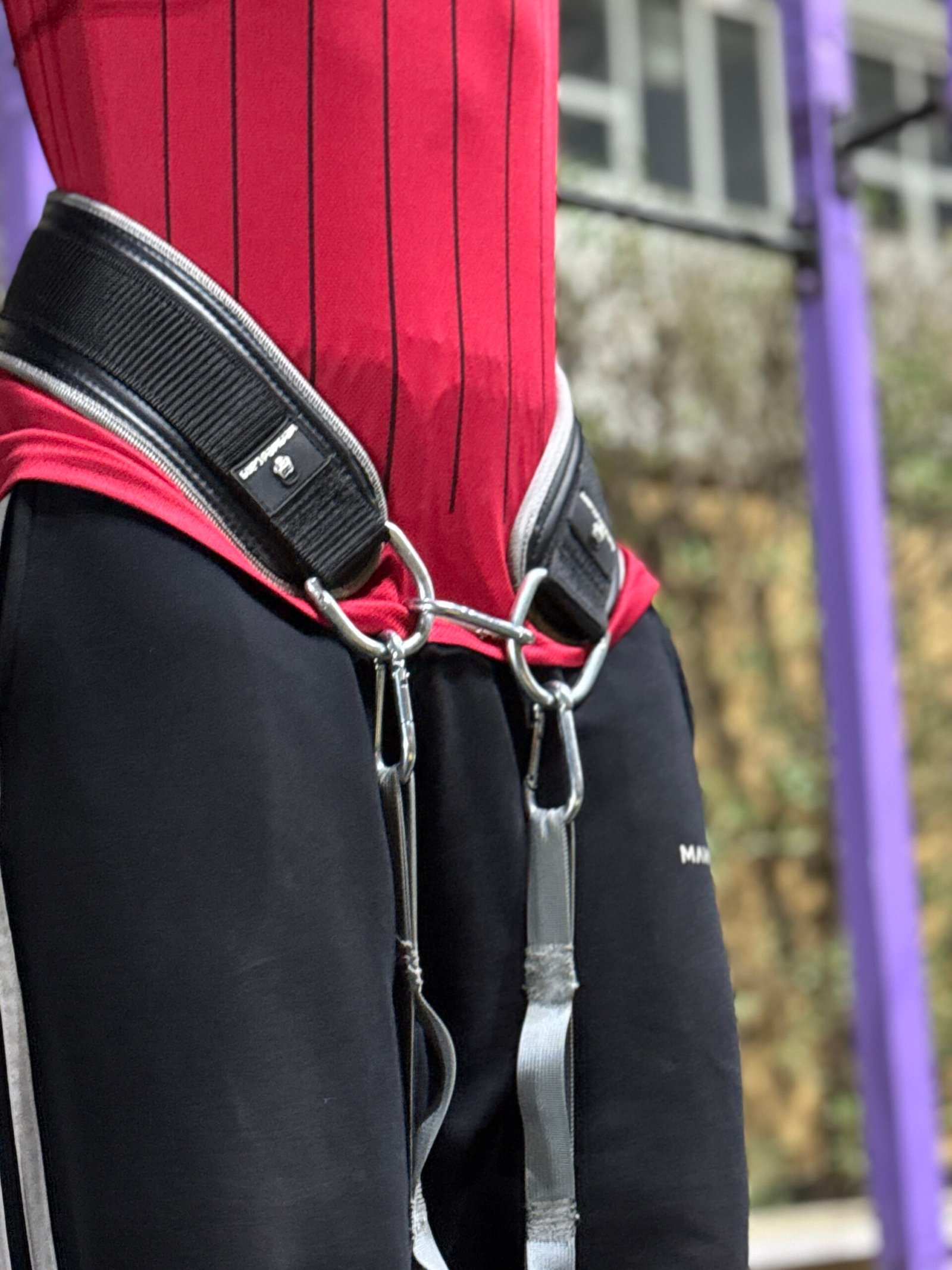Regular Belts